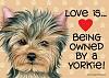 Hi I'm new-love-owned-yorkies.jpg