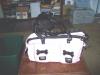 Carrier advice needed - 2 dogs-petcarrier-001.jpg