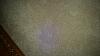 ??BEST Carpet Cleaner for Urine Smell????-20150609_205020.jpg