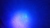 ??BEST Carpet Cleaner for Urine Smell????-20150609_205047.jpg