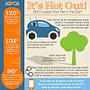 ASPCA: Download Our Hot Weather Graphic to Prevent Pets from Suffering in Hot Cars-hot-cars-infographic-061815.jpg