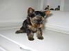 Hello all, please can I have your help.-user42200_pic116708_1329547936.jpg