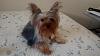 Help on looking for GF for my little-jax-tyler-.jpg