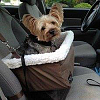 Mating 2 non acquainted Yorkies-cody-booster-seat.png