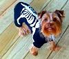 Yorkie Talk 11th Annual Halloween Contest! (2015) -- Submissions Thread-1186908_290673487738270_1714325292_n.jpg