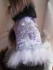 Yorkie Benefits-what are yours?-yt-lavender-vest.jpg