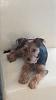 Hello all, please can I have your help.-img_0097.jpg