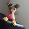Hello all, please can I have your help.-img_0112.jpg