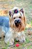 Input on grooming styles-image.jpeg