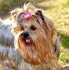 Input on grooming styles-image.jpeg