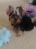 Introducing Lilly(Full Body(-image.jpeg
