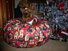 Thank You TxVicki...Happy Holidays!-image.jpeg