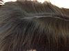 What type of coat has my puppy got?-back-hair-close-up.jpg