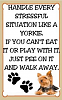 Lacy is getting a brother tomorrow, on Valentine's Day!!!-yorkiestress.png