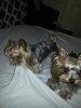 Does your Yorkie help you with Household Chores?-12895493_1164500633561616_1429556149_n.jpg