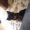 Floppy ear...-image.jpeg