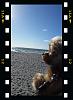 All of a sudden Charlie going nuts in car!-20170407_smalls.jpg