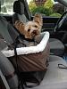 Do you use a car seat for your yorkie?-img_1151__1490735091_46007__1490735091_91658.jpg