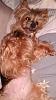Well, Sadie's mad at me...-tth-2-.jpg