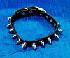 Dog collars, clothes, etc?-spiked-collar1.jpg