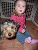 Is your yorkie - family or people friendly?-10455363_10156260981770319_5716573539700538914_n.jpg