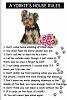 Yorkie House Rules-55fc3458d6c293e552a21f53f4de3dd8.jpg