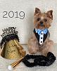 Happy New Year-deuce2019.jpeg