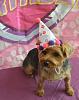 Penny turns 3-dsc_3345-2-yt.jpg