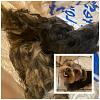 Another cotton coat?!-7e195640-f4ca-4dff-9e88-e1b6010c51f4.jpeg