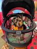 Dixie update-406f9784-62ab-4e66-893e-7de8cc812a98.jpeg