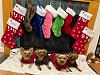 Christmas pups-e1d6fa62-3fc9-44bb-a773-1ce141ff13dc.jpeg