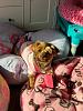 Toy obsession-d5d67520-a9a8-4c07-92ef-7e3cf2c62585.jpeg
