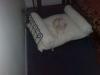 Show us your Furbaby's Bed!-img_0372-400-x-300-.jpg