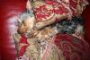 Show us your Furbaby's Bed!-img_0215-small-.jpg