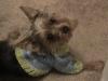 different face types-dsc00793-small-.jpg