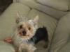 different face types-dsc00950-small-.jpg