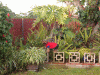 What does your yorkie do for fun???-penny-circle1.gif
