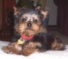 My Baby Growing Up-buddy-baby-pictures-070.jpg