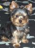 My Baby Growing Up-buddy-baby-pictures-075.jpg