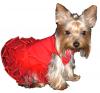 Chloe is a Celebrity Now!!!-redballerina.jpg