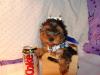 Help!New and need some advice-baby-bronx.jpg