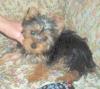 How/When does one know...-abbie13wks2.jpg