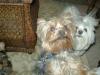 I need some encouragment-maxbobolibby16wks-012.jpg