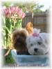 My two easter furbbabies in a basket /pics-eastercl1.jpg