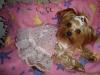 Happy Easter , with love from Princess-dsc00911.jpg