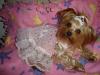 Happy Easter , with love from Princess-dsc00911.jpg