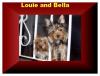 Happy Easter , with love from Princess-bella-louie-top-stairs-420-x-320-.jpg