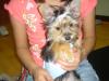 Look at Tinkerbells before and after pictures.-picture-059.jpg