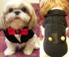 How Every Female Yorkie Owner Should Look The Wedding Day.-1r-6.jpg