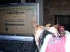 Show Us Your Pics Of Your Furbaby Chatting on YT!-sneaking-peek.jpg